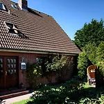 Bue - Friesenwinkel Büsum