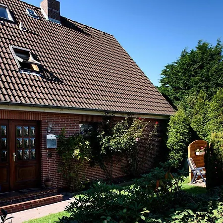 Bue - Friesenwinkel Büsum