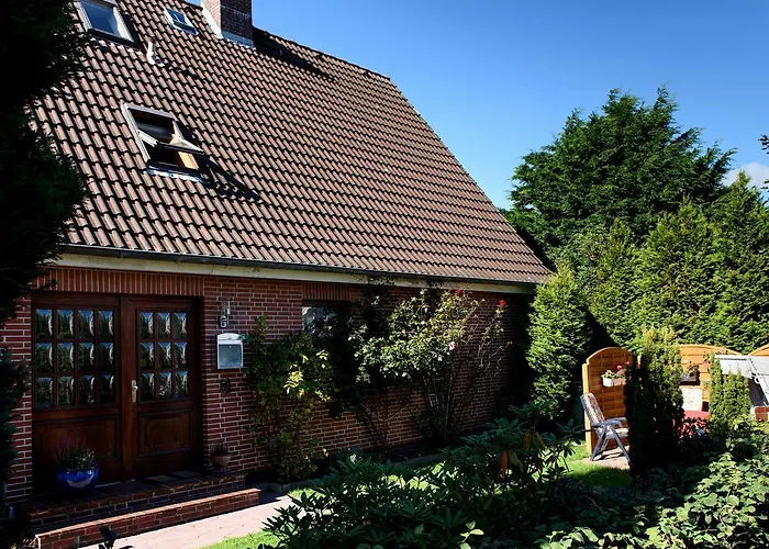 Bue - Friesenwinkel Büsum